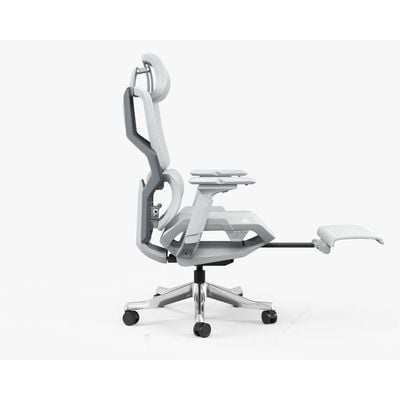 Executive Computer Office Chair - Advanced Ergonomics, High-Back, Breathable Mesh - Adjustable Lumbar Support, Footrest, Headrest, Seat Depth, Foldable Armrests - Aluminum Swivel Base (Grey)