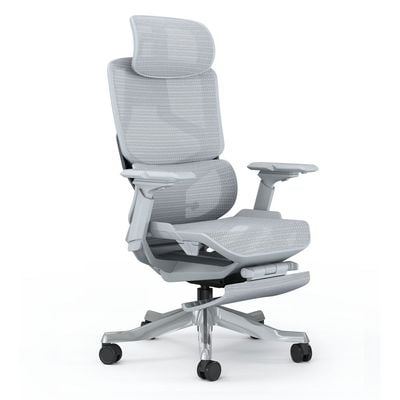 Executive Computer Office Chair - Advanced Ergonomics, High-Back, Breathable Mesh - Adjustable Lumbar Support, Footrest, Headrest, Seat Depth, Foldable Armrests - Aluminum Swivel Base (Grey)