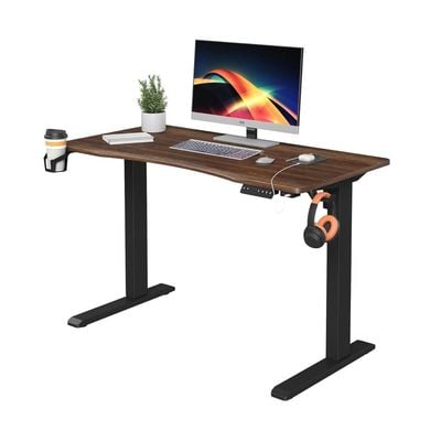 Electric Height Adjustable Desk, Ergonomic Sit-Stand Desk with Wireless Charging, USB&Type-C Ports, Home Office Workstation (Black)