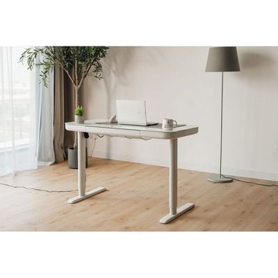 Electric Height Adjustable Standing Desk - Ergonomic Sit-Stand Desk with Drawer, Wireless Charging, USB & Type-C Ports, Cable Management - White Home Office Workstation