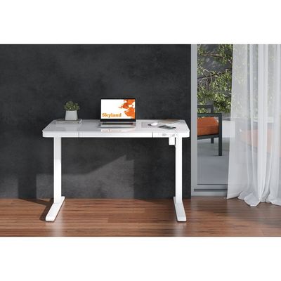 Electric Height Adjustable Desk - Sit-Stand Workstation with Drawer, Wireless Charging, Tempered Glass, Memory Control, Child Lock, Dual USB and Type-C Ports - White Home Office Desk Electric Height Adjustable Desk - Sit-Stand Workstation with Drawer, Wireless Charging, Tempered Glass, Memory Control, Child Lock, Dual USB and Type-C Ports - White Home Office Desk