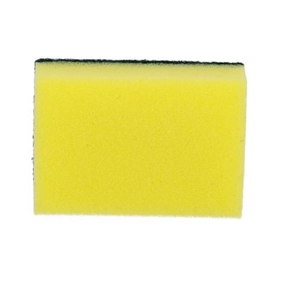 10Pc Cleaning Sponge 1X100