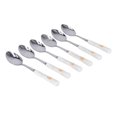 6Pcs Tea Spoon Set1X48