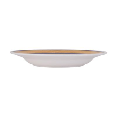 10"Melamine Deep Plate 1X48