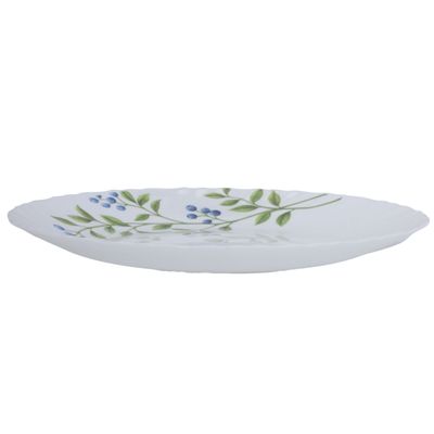 Delcasa Opalware 7.5" Dinner Plate- Dc2821| Premium-Quality, Light-Weight And Food-Grade White Plate With Elegant Floral Design | Microwave Safe Dinnerware| White