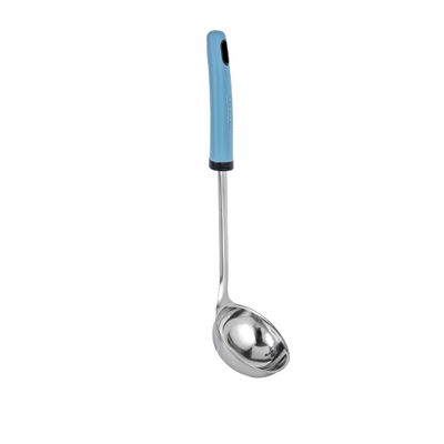 Delcasa Stainless Steel Soup Ladle- Dc3354/ With Pp Hand, Ideal For Serving Soups, Curry, Sauces, Etc./ Deep Spoon With A Comfortable Handle/ Elegant And Lightweight Design, Food-Grade With Wide Bowl/ Silver And Blue