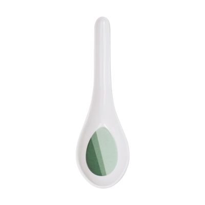 Delcasa 5.5" Melamineware Soup Spoon- Dc3430/ Stylish Design, Light-Weight And 100% Food-Grade/ Suitable For Dining Table, Home And Restaurant For Soup, Stew, Etc./ Dishwasher-Safe And Chip-Resistant/ White And Green