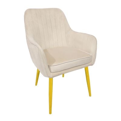 Maple Home Modern Accent Arm Chairs Living Dining Room Velvet Mid-Century Upholstered Seat Golden Legs