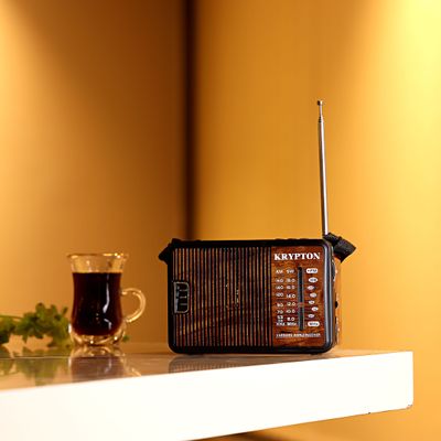 1000mAh Rechargeable Radio | BT/USB/SD/BT | Excellent Sound Quality | Lightweight Portable FM Radio | 8 Bands Radio | Stylish Retro Design