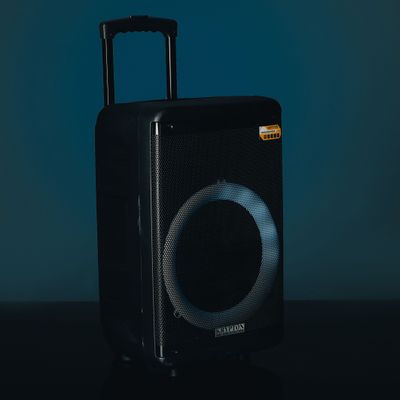 Portable and Rechargeable Professional Speaker, KNMS6220 | TWS Connection, BT/FM/USB/TF Card | LED Display | Wireless MIC, Remote Control | 50000W PMPO | LED Disco Light