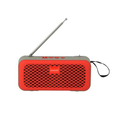 Smart Speakers & Radios