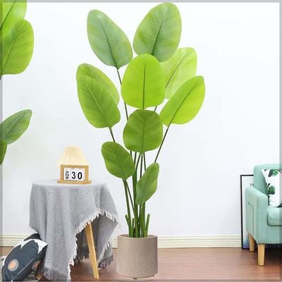 Yatai Plastic Self Watering Planter Garden Plant Pot Indoor Nursery Pot Flower Plant Container For Home Decor For All House Plants, Flowers, and Rose Plants (W-Coffee)