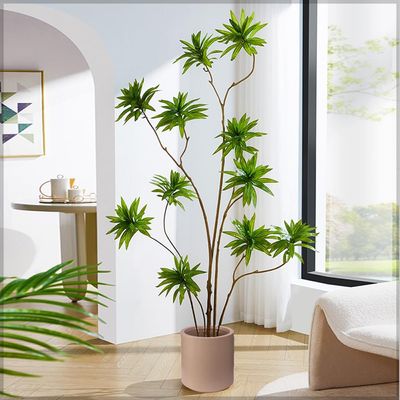 Yatai Plastic 34 Cm Self Watering Planter Garden Plant Pot Indoor Nursery Pot Flower Plant Container For Home Decor For All House Plants, Flowers, and Rose Plants (Coffee)