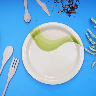 Royalford RF8078 11" Melamine Ware Super Rays Dinner Plate | Soup Plates Pasta Plates | Plate with playful Classic decoration, Dishwasher safe | Ideal for Soup, Deserts, Ice Cream & More (Mint Green)