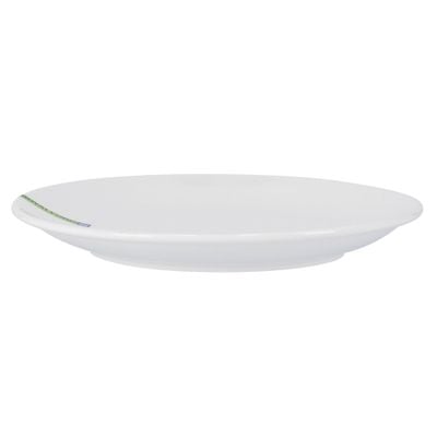 Porcelain Magnesia Dinner Plate, 9 Inch