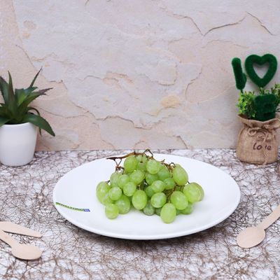 Royalford Porcelain Magnesia Dinner Plate, 9 Inch