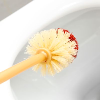 Toilet Brush with Holder