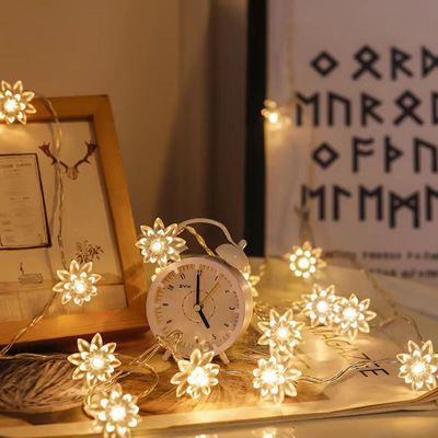 3m Long Warm Flower String Lights with Batteries 20 LED Decorative Lights