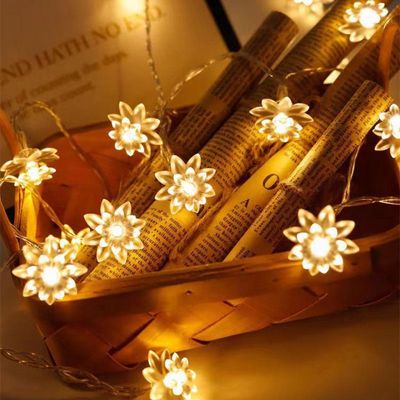 3m Long Warm Flower String Lights with Batteries 20 LED Decorative Lights