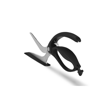 Dreamfarm Scizza 2-in-1 Ergonomic Pizza Scissors with Stainless Steel Cutter Blades & Non-Stick Slice Server, Easy to Use, Perfect for Slicing and Serving Pizzas Cleanly,  Black