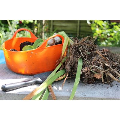 Red  Gorilla - Gorilla Tubs & Recycled Black Tubs - Mini Shallow 5L -Orange
