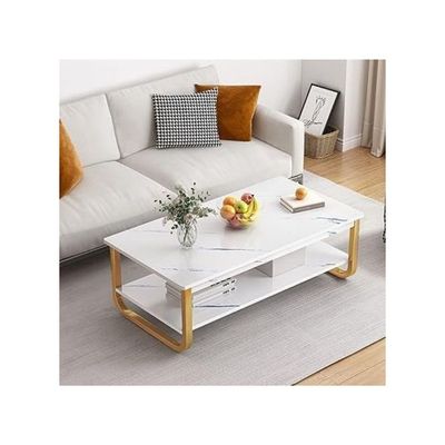 Harmony Home Luxury Square Coffee Table, 60x120x41 cm – Modern White Marble & Gold Table for Living Room, Elegant Light Luxury Design