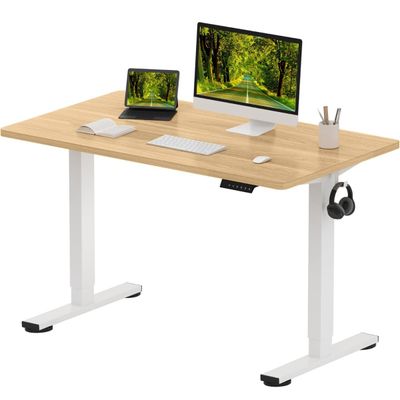 FlexiSpot Electric Standing Desk 120x65 cm with Height-Adjustable Spacious and Sit-Stand Desk with Quiet Motor, Durable Steel Frame, Ergonomic and Sturdy Workstation Ideal for Home and Office - Coco Bolo