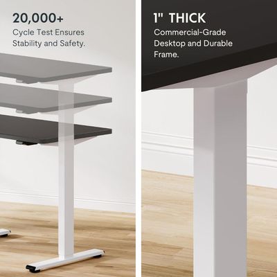 FlexiSpot Ergonomic Electric Standing Desk 120x75 cm Large Work Surface, Adjustable Sit-Stand Function, Smooth and Quiet Height Transition, Sturdy and Durable Frame Ideal for Home and Office - Charcoal Black
