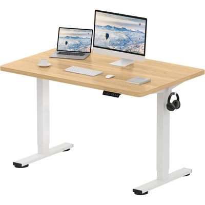FlexiSpot Ergonomic Electric Standing Desk 120x75 cm Large Work Surface, Adjustable Sit-Stand Function, Smooth and Quiet Height Transition, Sturdy and Durable Frame Ideal for Home and Office - Coco Bolo