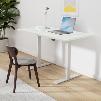 FlexiSpot Modern Height Adjustable Standing Desk 141x76 Sit-Stand Workstation Sturdy Steel Frame and Smooth Motorized Lift Ideal for Home and Office - Egger Marble