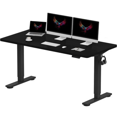 FlexiSpot Modern Adjustable Standing Desk Ergonomic 150x60 Sit-Stand Workstation with Electric Height Control, 4 Memory Setting, Sturdy Steel Frame and Spacious Desktop Ideal for Home and Office - Charcoal Black