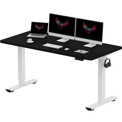 FlexiSpot Modern Adjustable Standing Desk Ergonomic 150x60 Sit-Stand Workstation with Electric Height Control, 4 Memory Setting, Sturdy Steel Frame and Spacious Desktop Ideal for Home and Office - Black and White