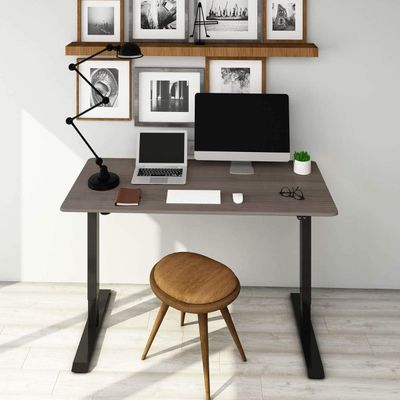 FlexiSpot Modern Standing Desk with Height Adjustable 150x65 cm, Electric Motor, 4 Memory Settings, Stable Steel Frame Workstation Ideal for Home and Office - Grey Whiteriver Oak