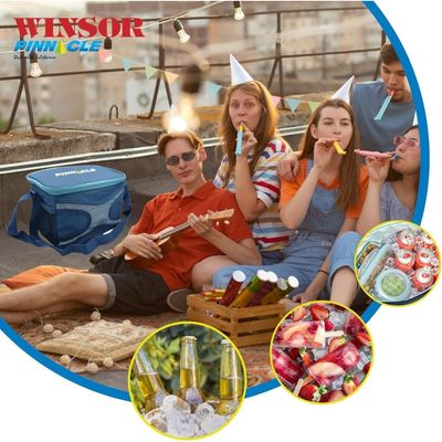 WINSOR Small Fridge Bag 5.6L/6 CANS - Small Cooler Bag Thermal Bag Lunch Box Office | Keep Your Food and Drinks Chilled 