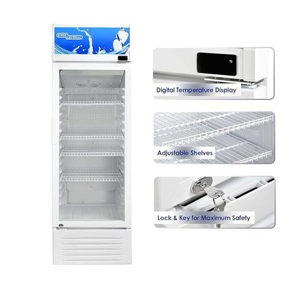 Super General 295 Liter Gross Compact Single-Door Chiller, Upright Beverage-Showcase, Energy-saving, low-noise, White, SGSC-298, 54 x 57 x 164 cm, 1 Year Warranty
