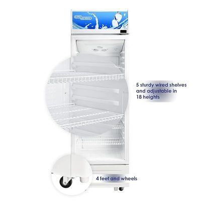 Super General 395 Liters Gross Single-Door Chiller, Upright Beverage-Showcase, Energy-saving, Low-noise, White, SGSC398, 60 W cm x 58 D cm x 197 H cm, 1 Year Warranty