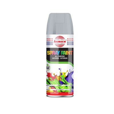 Asmaco Spray Paint - Matt Silver - 400 Ml - Set of 01