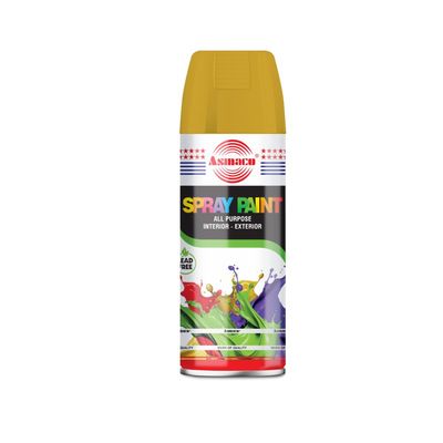 Paints & Accessories