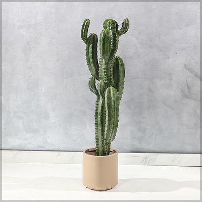 Yatai Artificial Cactus Plant, Realistic Green Succulent Fake Plants with Pot, Maintenance-Free, Waterproof & UV Resistant Decorative Faux Plant for Indoor & Outdoor Home, Office, Event Decor (105cm)