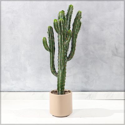 Yatai Artificial Cactus Plant, Realistic Green Succulent Fake Plants with Pot, Maintenance-Free, Waterproof & UV Resistant Decorative Faux Plant for Indoor & Outdoor Home, Office, Event Decor (103cm)