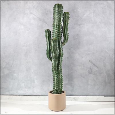 Yatai Artificial Cactus Plant, Realistic Green Succulent Fake Plants with Pot, Maintenance-Free, Waterproof & UV Resistant Decorative Faux Plant for Indoor & Outdoor Home, Office, Event Decor (160cm)