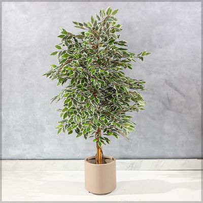 Artificial Variegated Ficus Plant, Realistic Green Leaves Fake Plant with Pot & Flexible Branches for Custom Arrangement, Long-Lasting & Maintenance-Free Faux Plant for Home Event Decor (120cm)