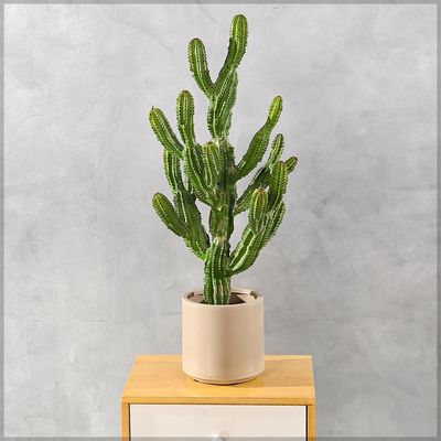 Yatai Artificial Cactus Plant, Realistic Spiky Design Fake Plants with Durable Waterproof Pot, UV Resistant & Maintenance-Free Floor Plant, Odor-Free Faux Plants for Home Office Event Garden (79cm)