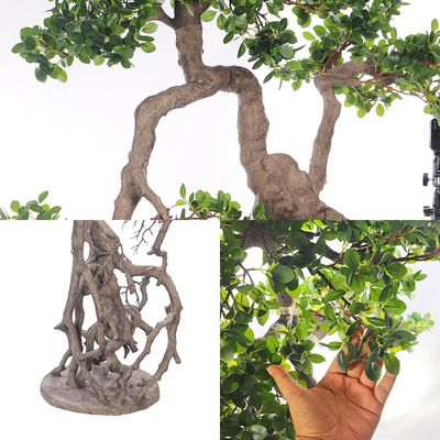 Yatai Artificial Bonsai Tree with Exposed Root, Highly Realistic Green Leaves Fake Plants with Durable Base, Maintenance-Free, UV Resistant Faux Plants for Home Office Garden & Commercial Use (200cm)