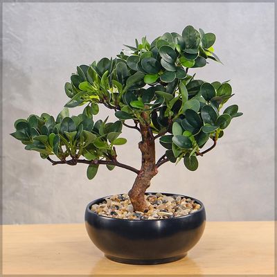 Yatai Artificial Bonsai Tree, Lifelike Faux Plants with Round Green Leaves & Pot, Long Lasting & Maintenance-Free Faux Tree, No Watering & Odorless Fake Plants for Home Office Event Decor (30cm)