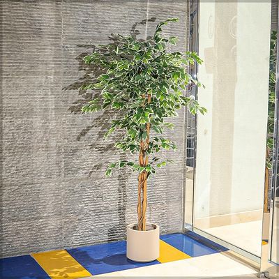 Yatai 6.2ft Tall Artificial Ficus Tree, Likelike Faux Plants with Lush Green Leaves, Bendable Stems & Pot, Maintenance-Free, Waterproof & UV Resistant Fake Plants for Home Office Patio & Event Decor
