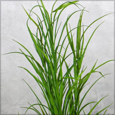 Yatai 4ft Tall Artificial Grass Plant, Lifelike Faux Plants Greenery with Pot, Maintenance-Free & UV Resistant Fake Plants, Long-Lasting Faux Tree for Home, Office, Event Decor, No Watering Required