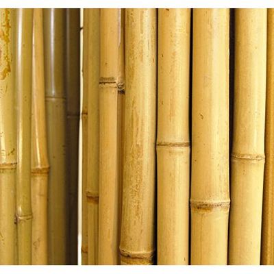 Egardenkart® Natural Rolled Bamboo Fence Thick Natural Privacy Fence (300, 250)
