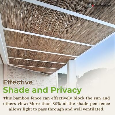 Egardenkart® Bamboo Reed Fence/Privacy Fence (3mtrsx6mtrs)