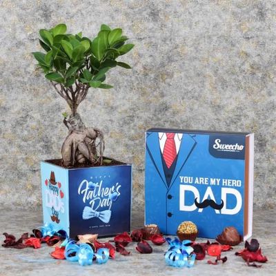 Fathers Day Bonsai Plant and Premium Chocolates